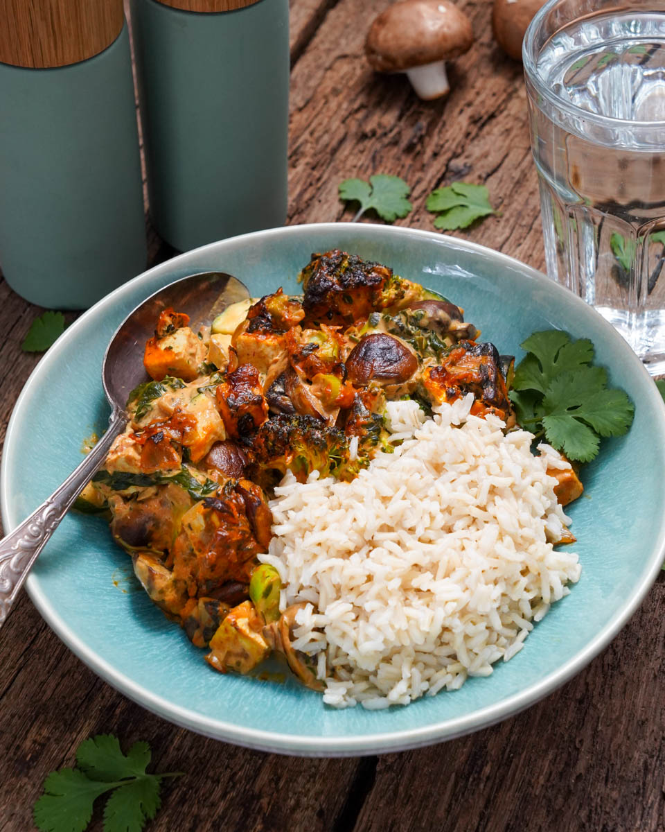 Schlemmertopf mit Reis vegan im Teller angerichtet, teaser